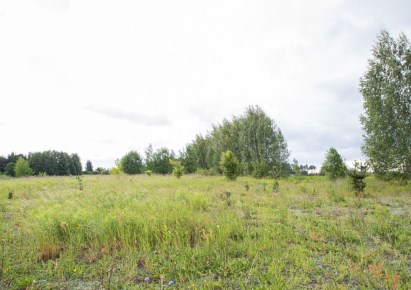 działka na sprzedaż - Wasilków (gw), Nowodworce